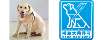 補助犬の受け入れ