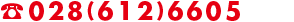 028-612-6605