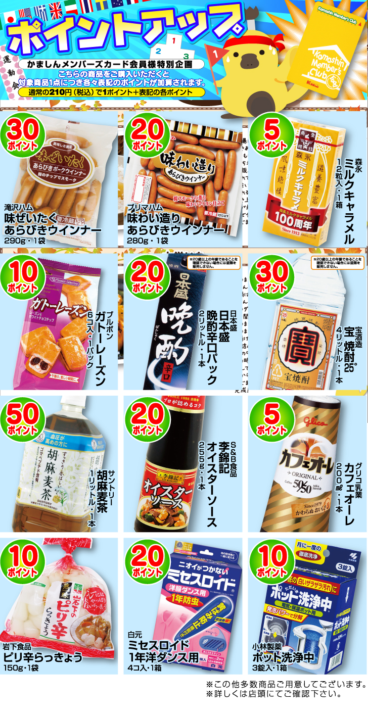 ポイントアップ