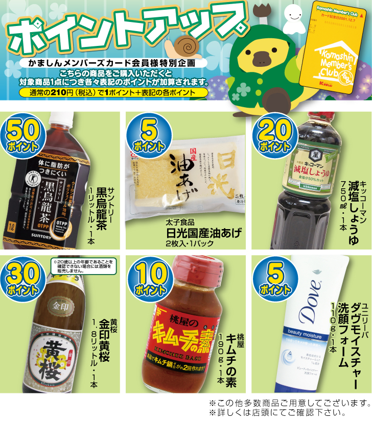 ポイントアップ